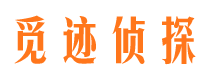 三都市私人侦探